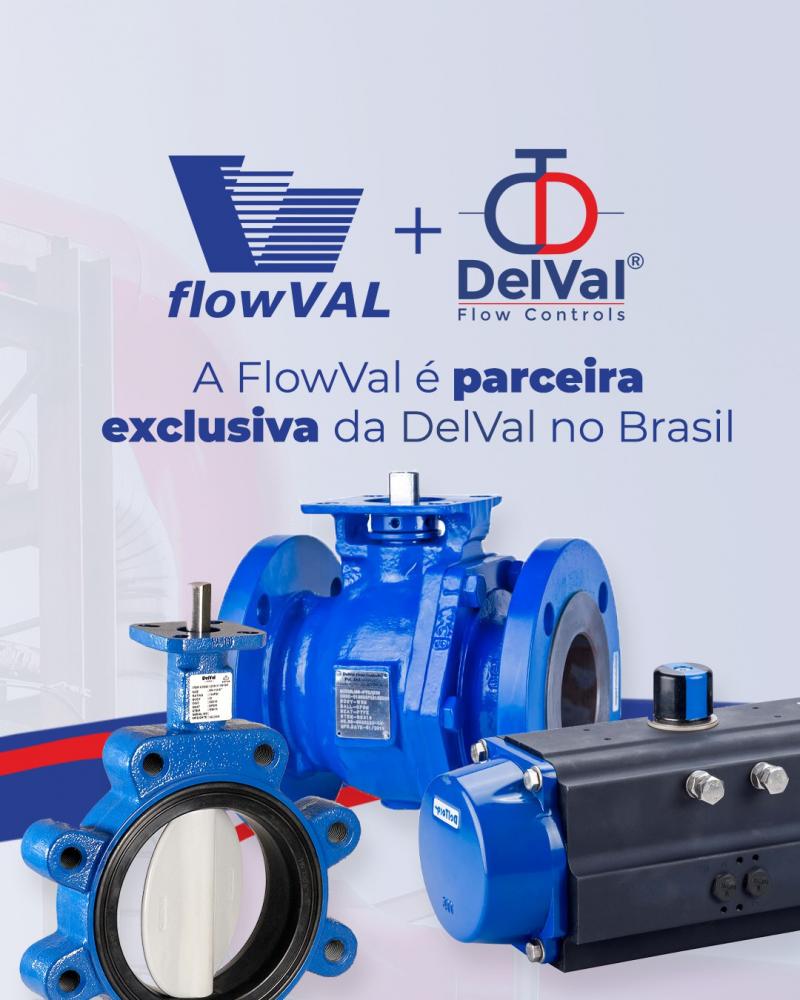 A FlowVal é parceira exclusiva da DelVal no Brasil